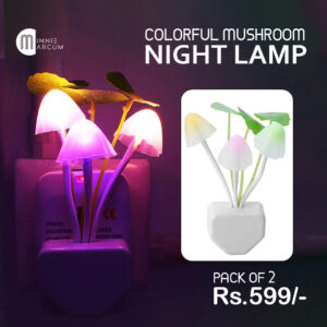 COLORFUL MUSHROOM NIGHT LAMP ( PACK OF 2)